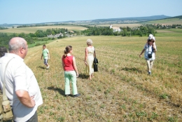 panorama1